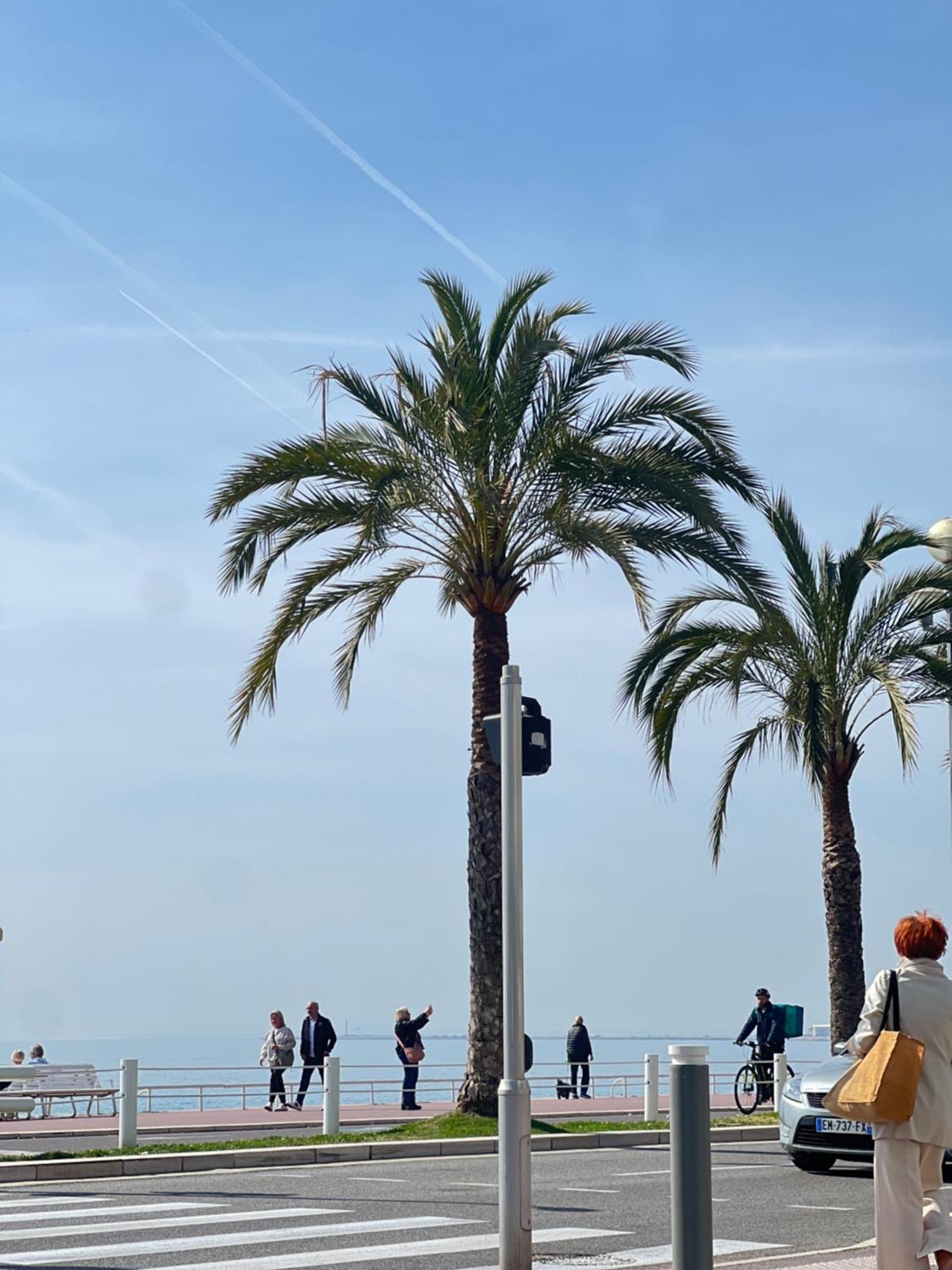 Apartment Le Richemond - 50m De La Nizza